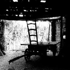 Harry Bertoia