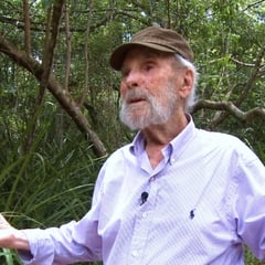 Frans Krajcberg