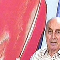Olivier Debre