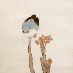 Ren Yu