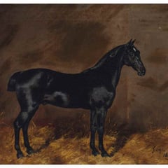 Algernon Thompson