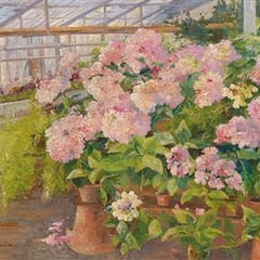 Hermine von Janda