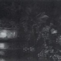 Eleanor Ecob Morse