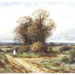 Alexander Molyneux Stannard
