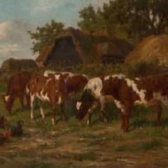 Claude Cardon