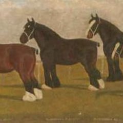William Albert Clark