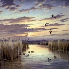 Colin W. Burns
