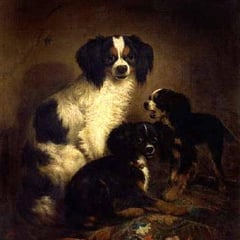 August Knip