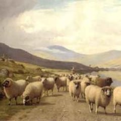 William Sidney Cooper