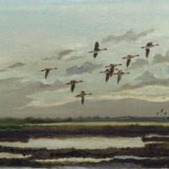 Hugh Monahan