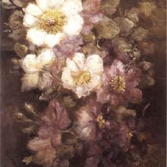 Anna Maria Blaauw