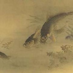 Yokoku Noguchi