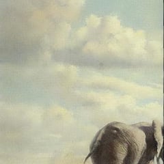 Donald Grant
