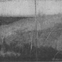 Adolphe Albert