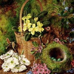 Vincent Clare