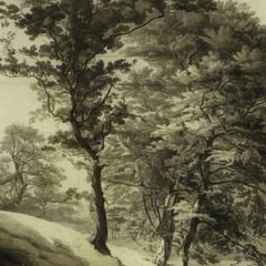 John White Abbott