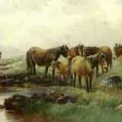 Thomas Rowden