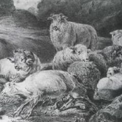 Johann Josef Storchlin