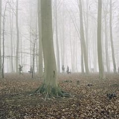 Trine Sondergaard