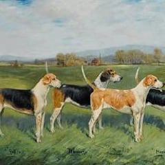 George Paice