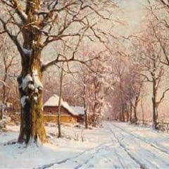 Walter Moras