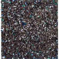 Marcel Broodthaers
