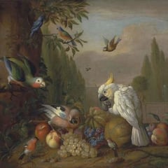 Tobias Stranover