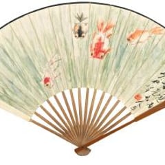 Yang Xian