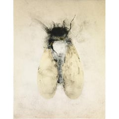 Nancy Randall