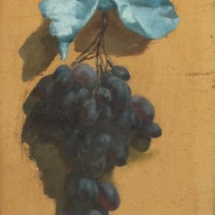 Elizabeth Paillard