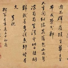 Shen Yikui