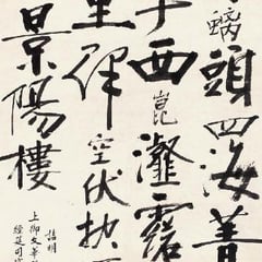 Yang Zhao