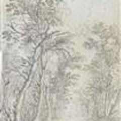 Jan Fouceel