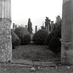 Cesare di Liborio