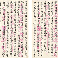 Yang Rui