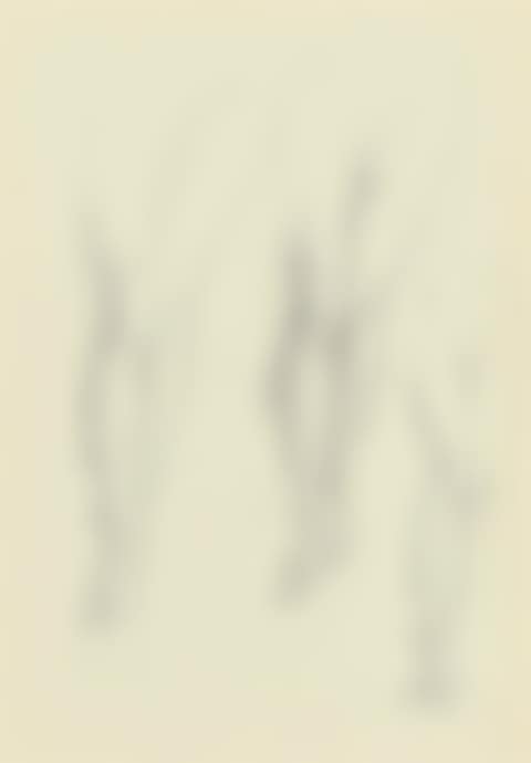 Studies of the sailor's legs for 'The Depths of The Sea' (preview)