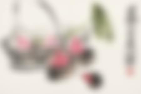 AUSPICIOUS (preview)