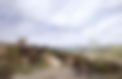 Cattle resting on a hillside (preview)