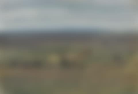 Exmoor Ponies (preview)