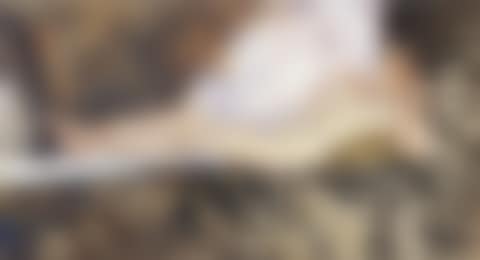 A young Iberian (preview)