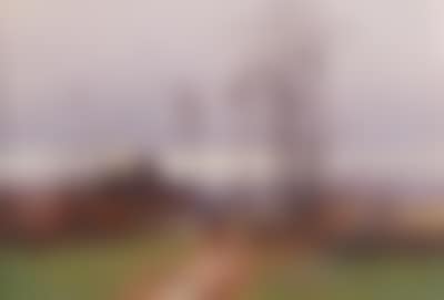 Landscape (preview)