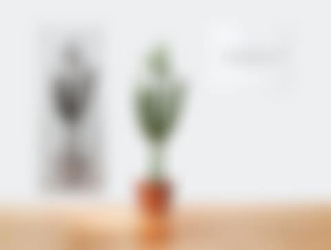 ONE AND THREE PLANTS (ENGLISH/FRENCH) (preview)