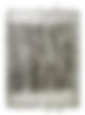 Cementarmato (preview)