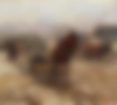 Horse and Cart on the Village Street (preview)