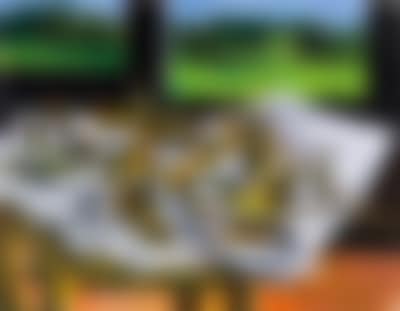 Still Life at Velate (preview)