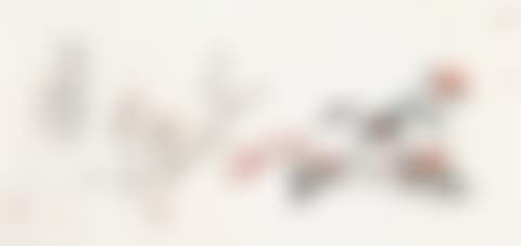 FLOWERS (preview)
