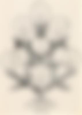 Christmas Tree (preview)