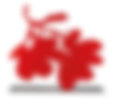 Red Lantern Flowers (preview)