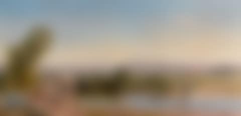 CITY OF MEXICO FROM THE HACIENDA DE LOS MORALES (preview)
