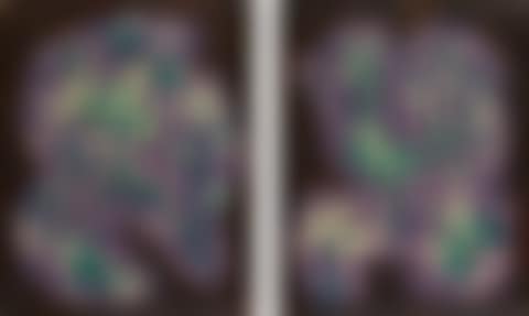 UNTITLED (A PAIR OF WORKS)  (preview)